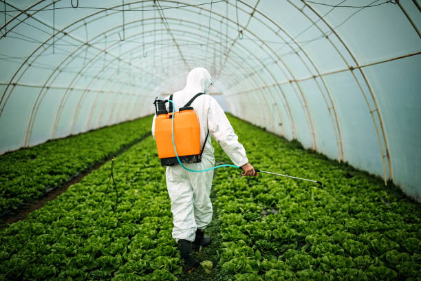 Best Pest Control Cost  in Lexington, MO