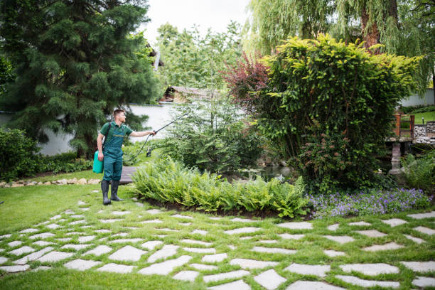Best Best Pest Control Companies  in Lexington, MO