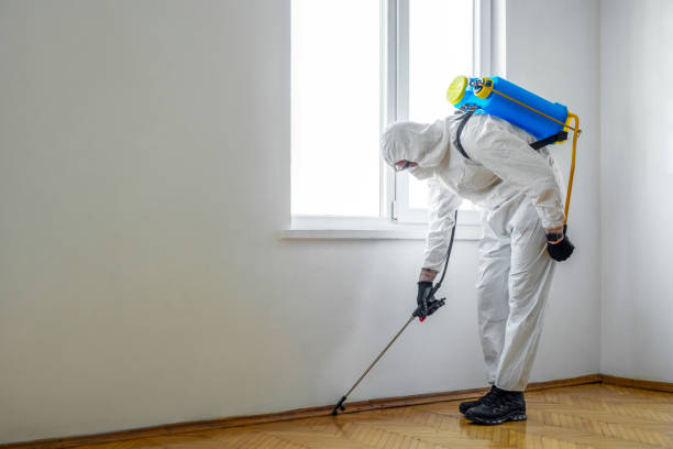 Best Emergency Pest Control  in Lexington, MO