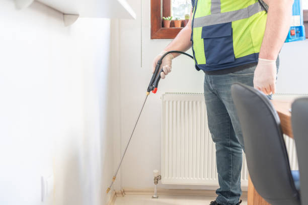 Best Wasp Removal Services  in Lexington, MO
