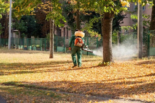 Best Insect Control  in Lexington, MO