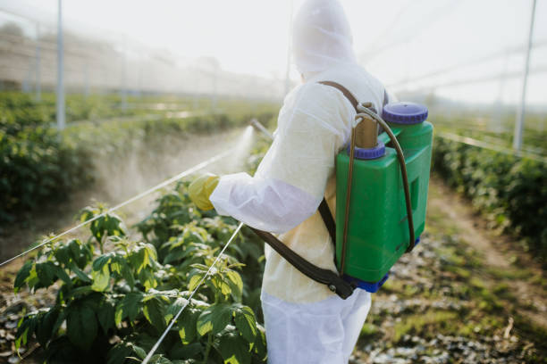 Trusted Lexington, MO Pest Control Experts